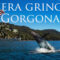 Condenamos enérgicamente la entrega de la isla de Gorgona al control de los Estados Unidos por el gobierno de Gustavo Petro